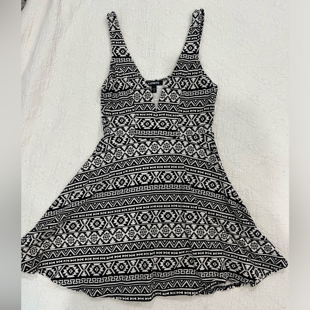 Express skater dress